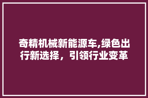 奇精机械新能源车,绿色出行新选择，引领行业变革  第1张