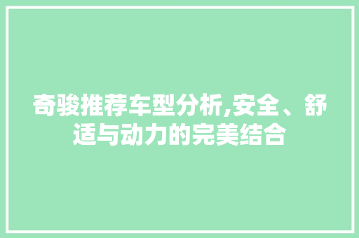 奇骏推荐车型分析,安全、舒适与动力的完美结合