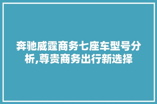 奔驰威霆商务七座车型号分析,尊贵商务出行新选择