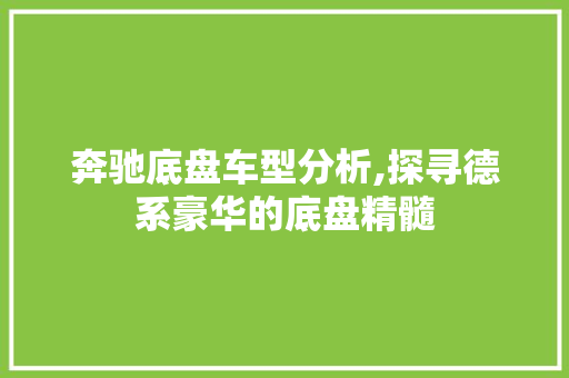 奔驰底盘车型分析,探寻德系豪华的底盘精髓  第1张