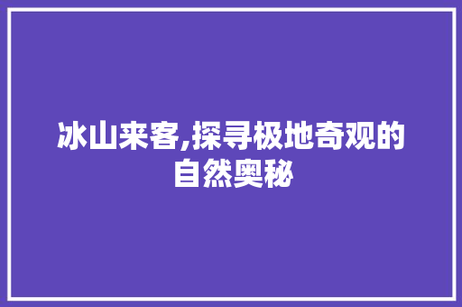 冰山来客,探寻极地奇观的自然奥秘