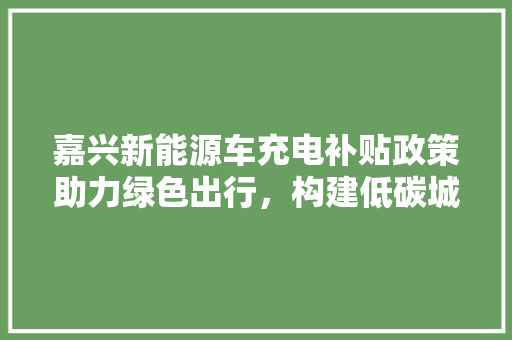 嘉兴新能源车充电补贴政策助力绿色出行，构建低碳城市  第1张