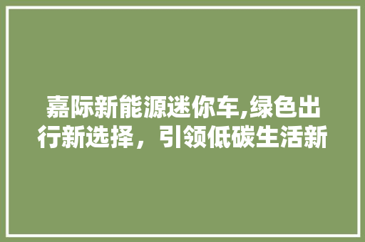 嘉际新能源迷你车,绿色出行新选择，引领低碳生活新风尚  第1张