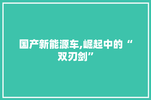 国产新能源车,崛起中的“双刃剑”  第1张