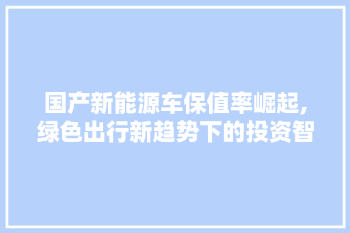 国产新能源车保值率崛起,绿色出行新趋势下的投资智慧  第1张