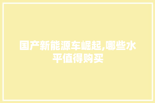 国产新能源车崛起,哪些水平值得购买