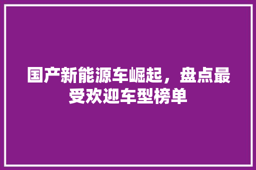 国产新能源车崛起，盘点最受欢迎车型榜单  第1张