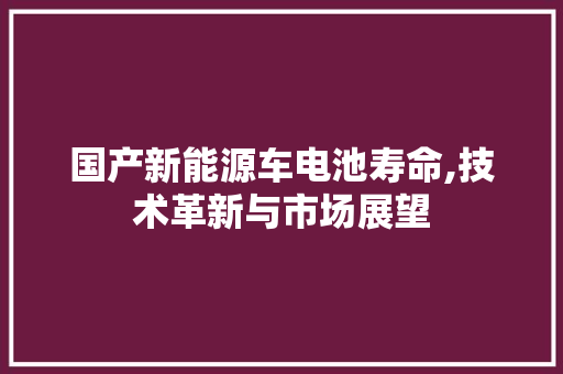 国产新能源车电池寿命,技术革新与市场展望  第1张