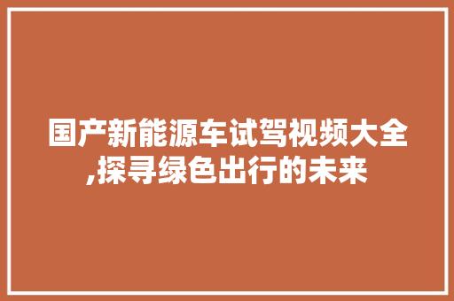 国产新能源车试驾视频大全,探寻绿色出行的未来  第1张