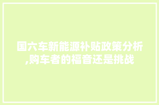 国六车新能源补贴政策分析,购车者的福音还是挑战  第1张