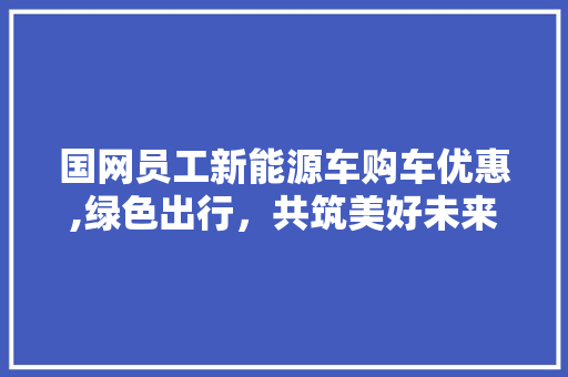 国网员工新能源车购车优惠,绿色出行，共筑美好未来  第1张