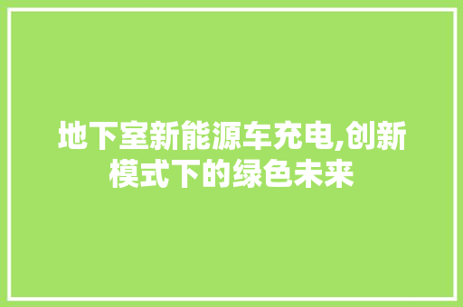 地下室新能源车充电,创新模式下的绿色未来  第1张