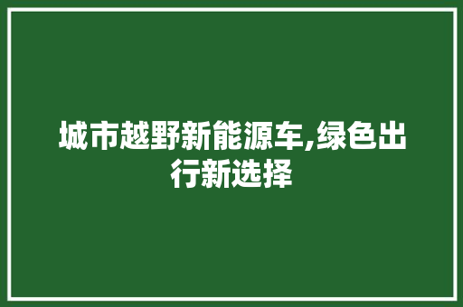 城市越野新能源车,绿色出行新选择