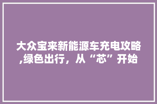 大众宝来新能源车充电攻略,绿色出行，从“芯”开始  第1张