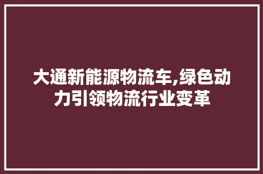 大通新能源物流车,绿色动力引领物流行业变革