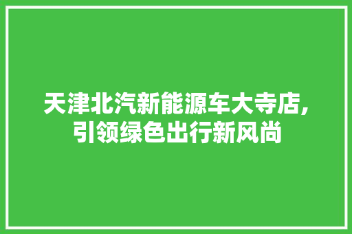 天津北汽新能源车大寺店,引领绿色出行新风尚  第1张