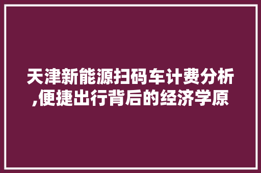 天津新能源扫码车计费分析,便捷出行背后的经济学原理