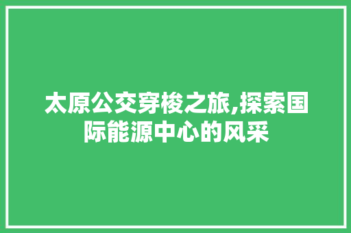 太原公交穿梭之旅,探索国际能源中心的风采  第1张