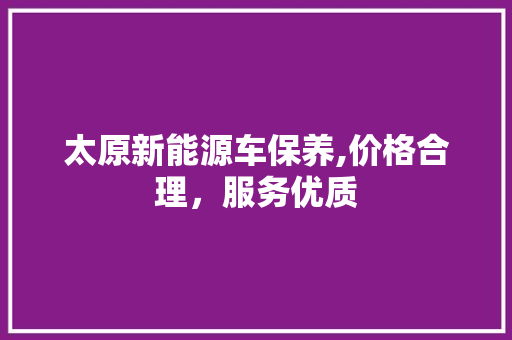 太原新能源车保养,价格合理，服务优质