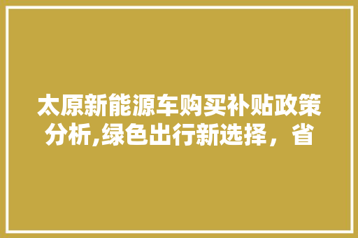 太原新能源车购买补贴政策分析,绿色出行新选择，省钱又环保  第1张