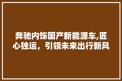 奔驰内饰国产新能源车,匠心独运，引领未来出行新风尚  第1张