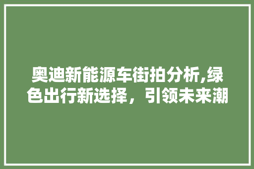 奥迪新能源车街拍分析,绿色出行新选择，引领未来潮流  第1张