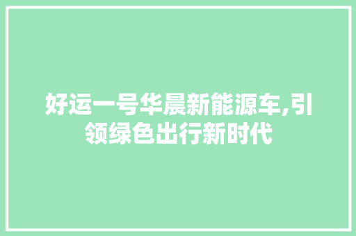 好运一号华晨新能源车,引领绿色出行新时代  第1张