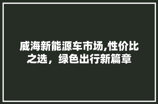 威海新能源车市场,性价比之选，绿色出行新篇章  第1张