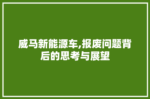 威马新能源车,报废问题背后的思考与展望  第1张