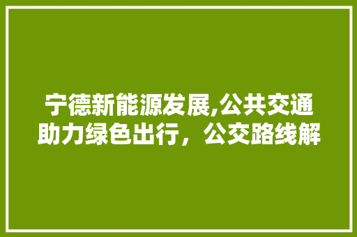 宁德新能源发展,公共交通助力绿色出行，公交路线解读  第1张