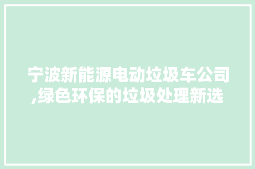 宁波新能源电动垃圾车公司,绿色环保的垃圾处理新选择