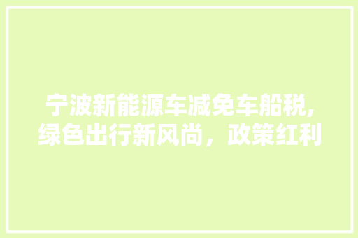 宁波新能源车减免车船税,绿色出行新风尚，政策红利助力环保事业