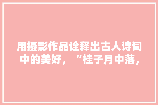 用摄影作品诠释出古人诗词中的美好，“桂子月中落，天香云外飘”怎么拍，寺庙旅游照片。