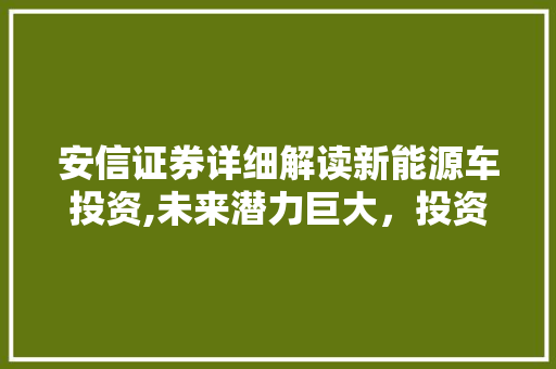 安信证券详细解读新能源车投资,未来潜力巨大，投资机会不容错过  第1张