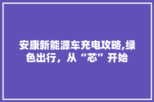 安康新能源车充电攻略,绿色出行，从“芯”开始