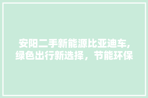 安阳二手新能源比亚迪车,绿色出行新选择，节能环保典范  第1张