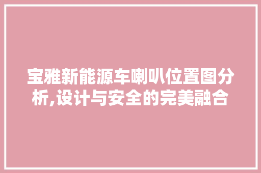 宝雅新能源车喇叭位置图分析,设计与安全的完美融合