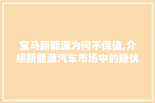 宝马新能源为何不保值,介绍新能源汽车市场中的隐忧  第1张