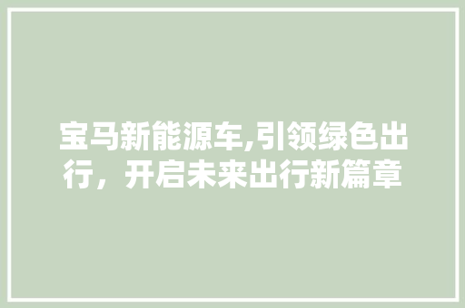 宝马新能源车,引领绿色出行，开启未来出行新篇章  第1张