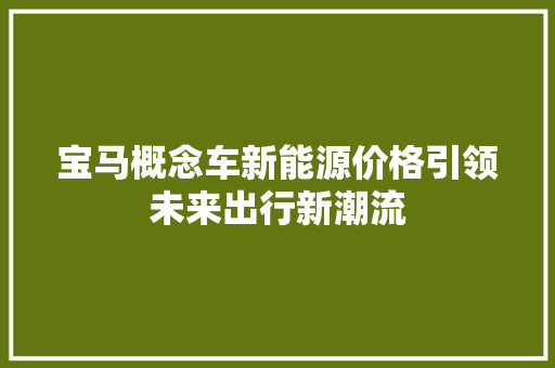 宝马概念车新能源价格引领未来出行新潮流  第1张