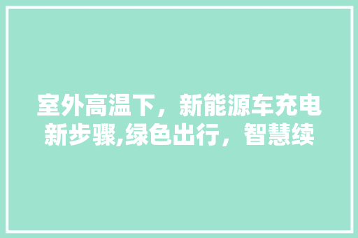 室外高温下，新能源车充电新步骤,绿色出行，智慧续航