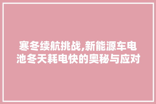 寒冬续航挑战,新能源车电池冬天耗电快的奥秘与应对步骤  第1张