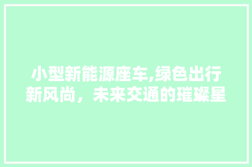 小型新能源座车,绿色出行新风尚，未来交通的璀璨星辉