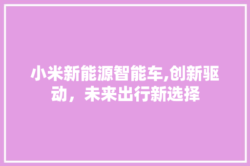 小米新能源智能车,创新驱动，未来出行新选择