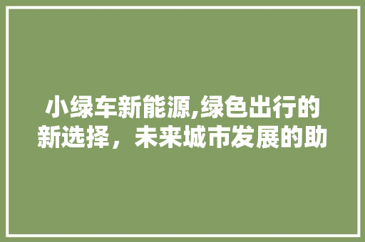 小绿车新能源,绿色出行的新选择，未来城市发展的助推器  第1张