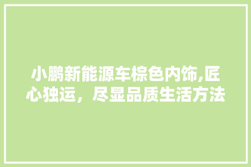 小鹏新能源车棕色内饰,匠心独运，尽显品质生活方法  第1张