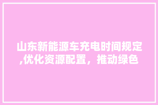 山东新能源车充电时间规定,优化资源配置，推动绿色出行  第1张