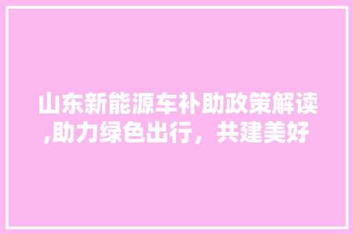 山东新能源车补助政策解读,助力绿色出行，共建美好家园  第1张