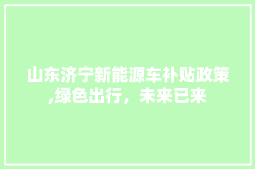 山东济宁新能源车补贴政策,绿色出行，未来已来  第1张