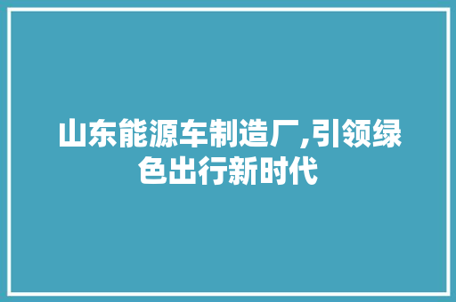 山东能源车制造厂,引领绿色出行新时代  第1张